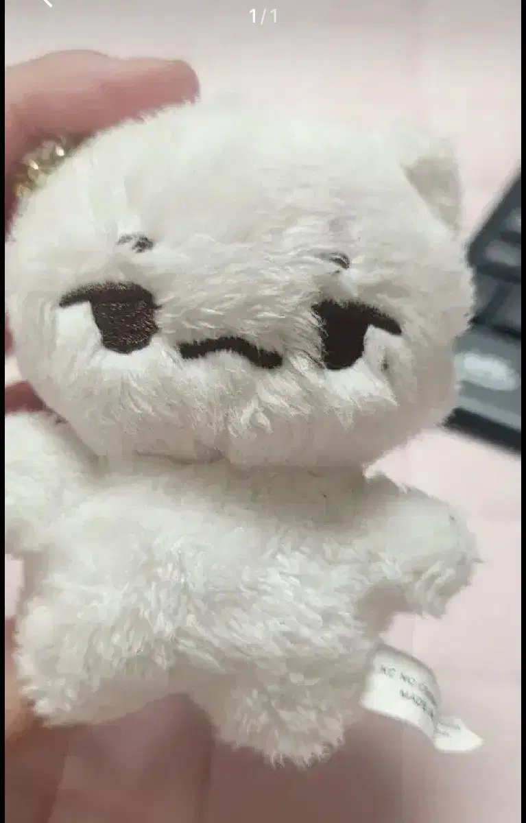 뾰냥이 10cm 양도